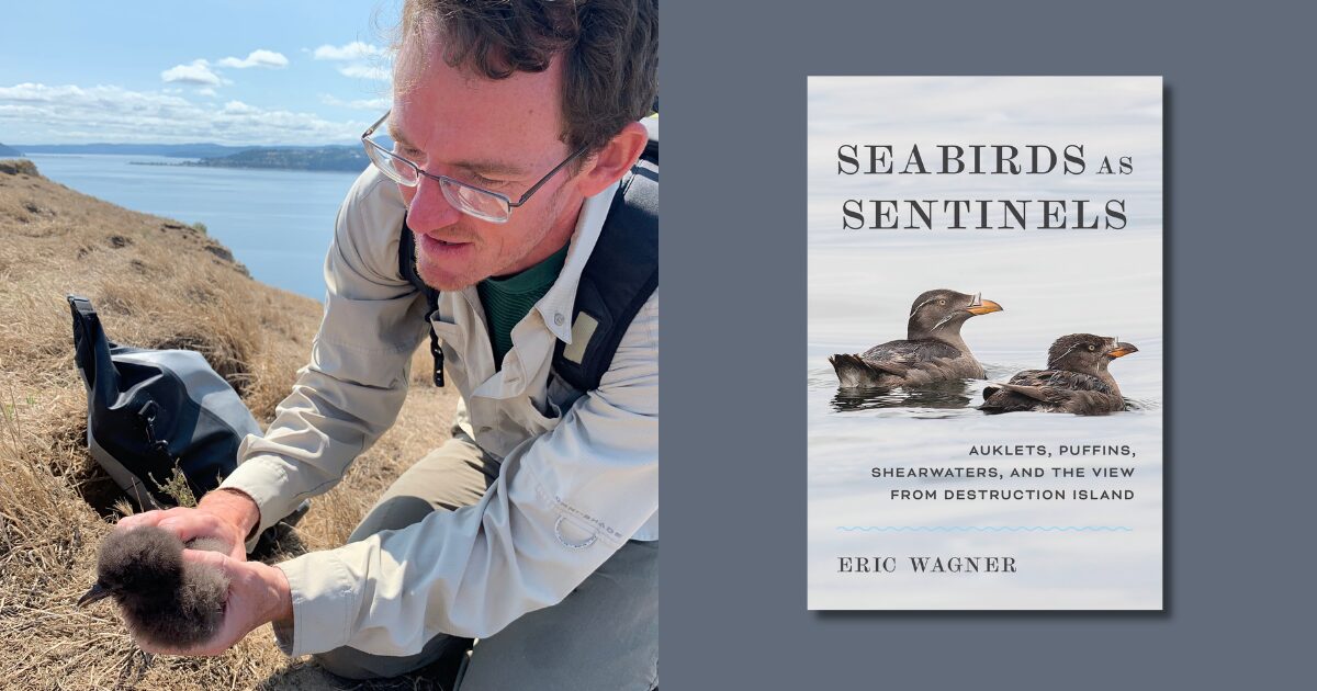Urban Naturalist: Eric Wagner – Seabirds as Sentinels: Auklets, Puffins, Shearwaters, and the View